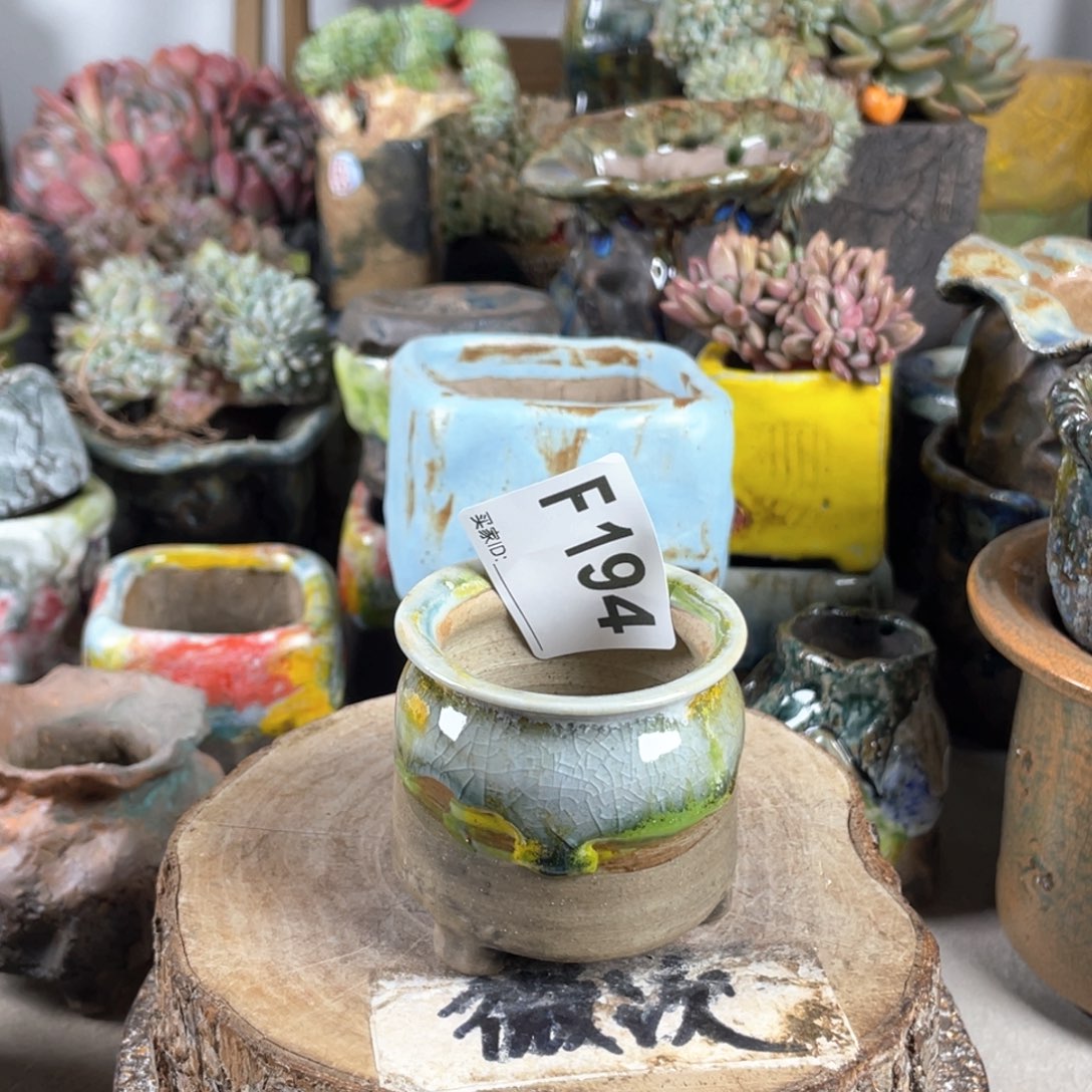 紫砂花盆开播福利 陶瓷花盆