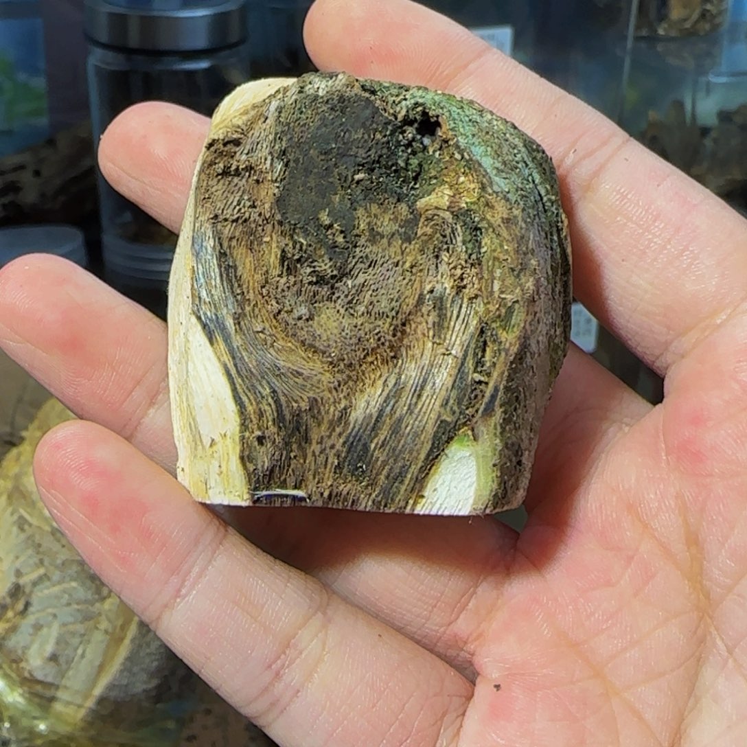 秋***薇沉香沉香碎屑20克34虎斑