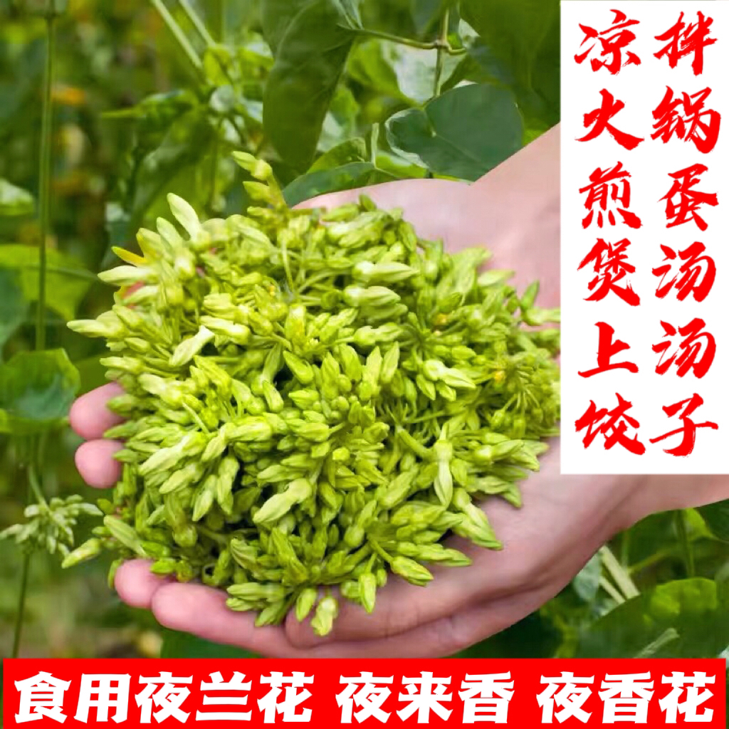 顺丰包邮｜夜兰花食用夜香花特色蔬菜夜来香千里香煎蛋火锅凉拌