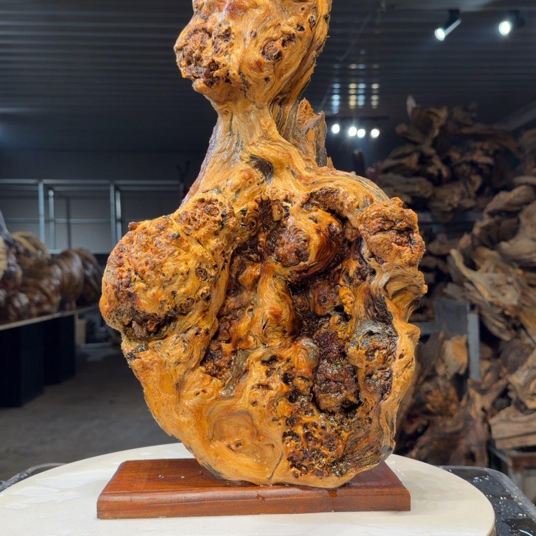 好***安木王一刀琥珀木摆件48