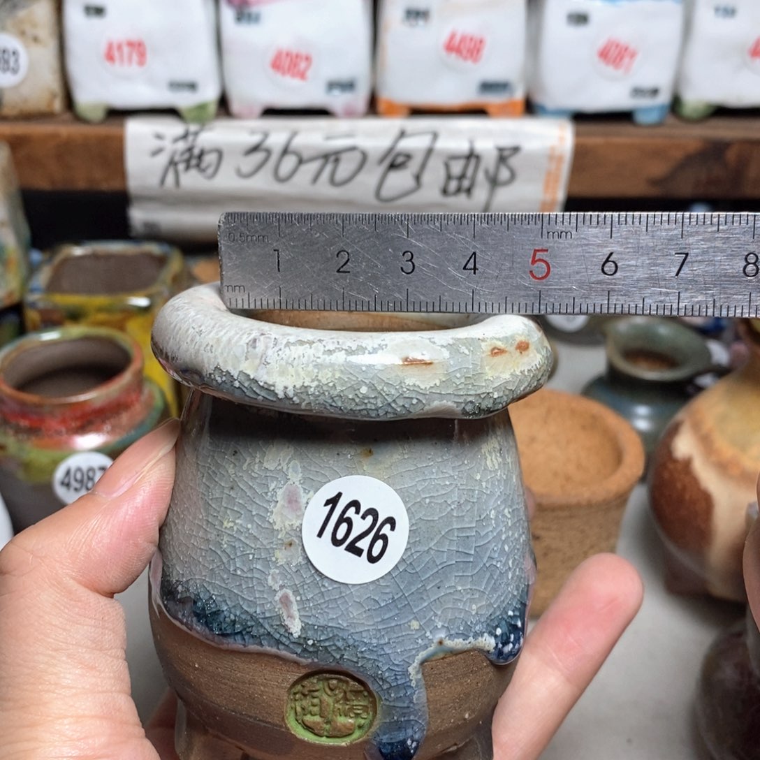  拍5送一个小礼物