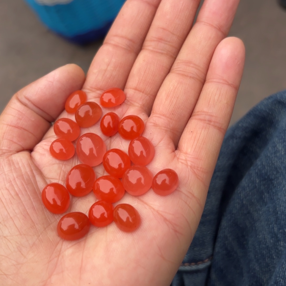 南红玛瑙颈饰合金小*贝