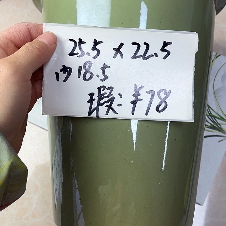 花盆紫砂888888888888888888885