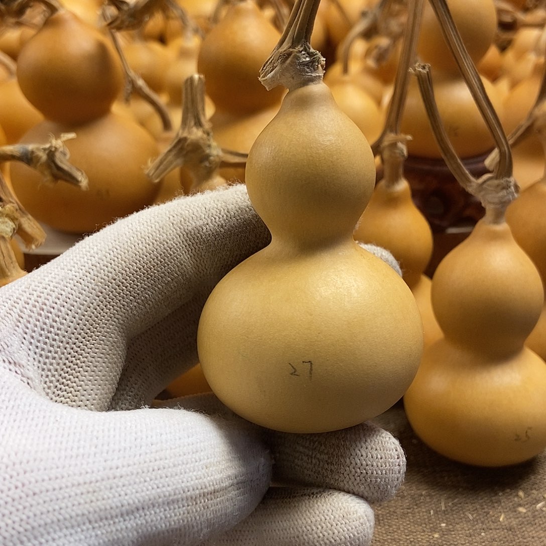 文玩葫芦 完美主义者 慎拍27