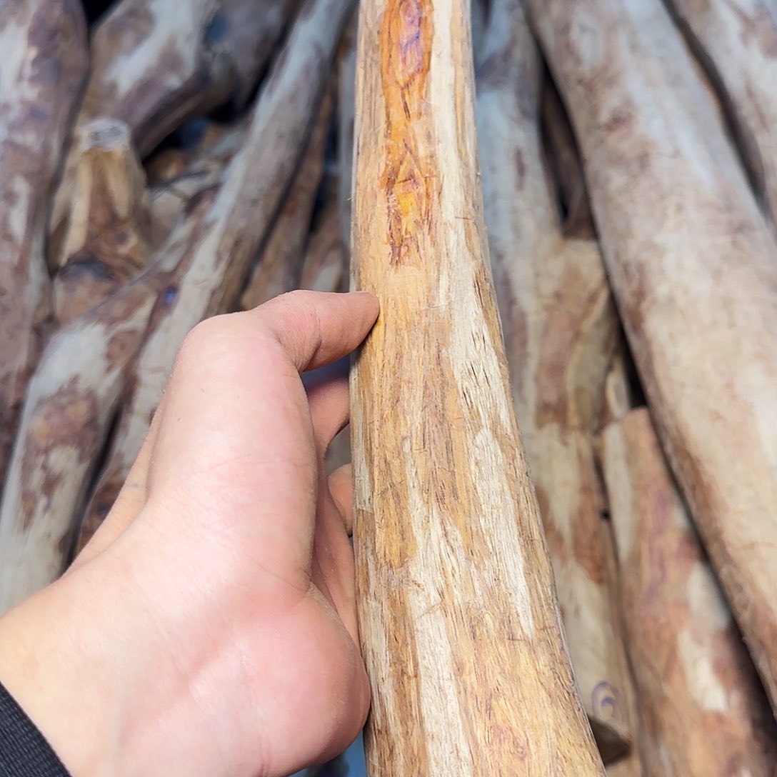 黄花梨/降香黄檀小*