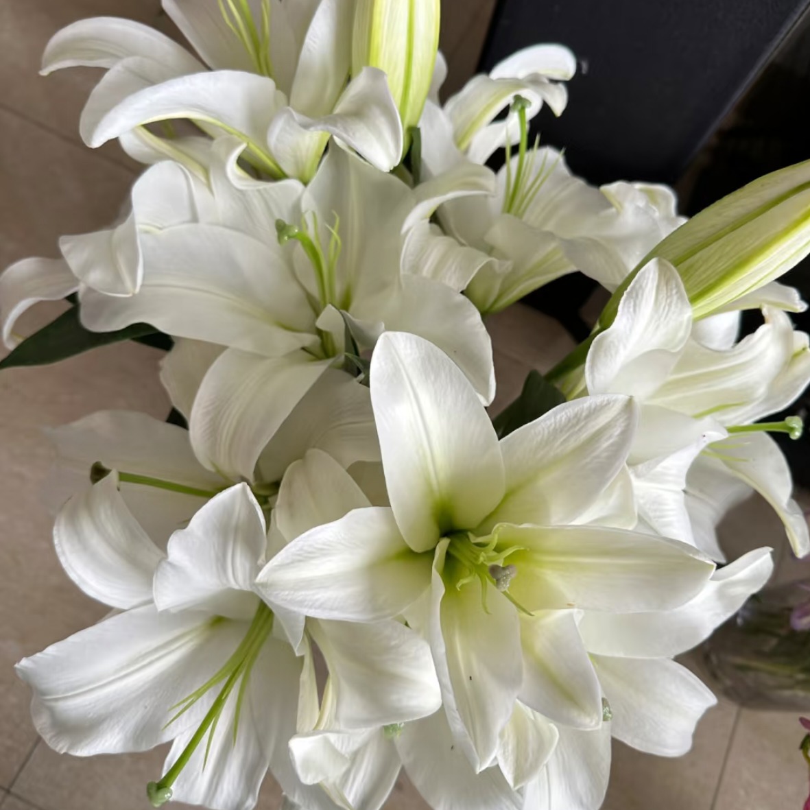 翡翠（白天霸）香水百合（居家办公优选）《东北基地发货》