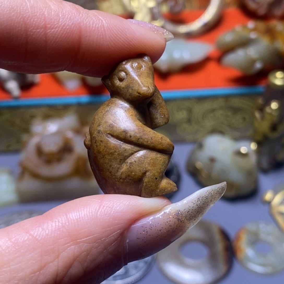 小动物。。。。。。。。。。。。