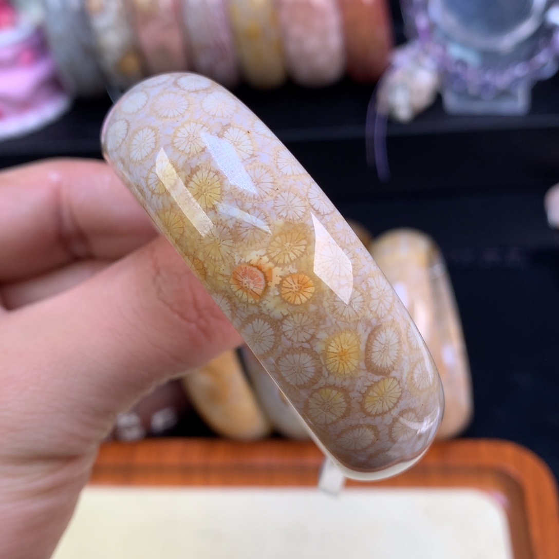 硅化珊瑚（珊瑚玉）未镶嵌颈饰94号53.8圈豹纹