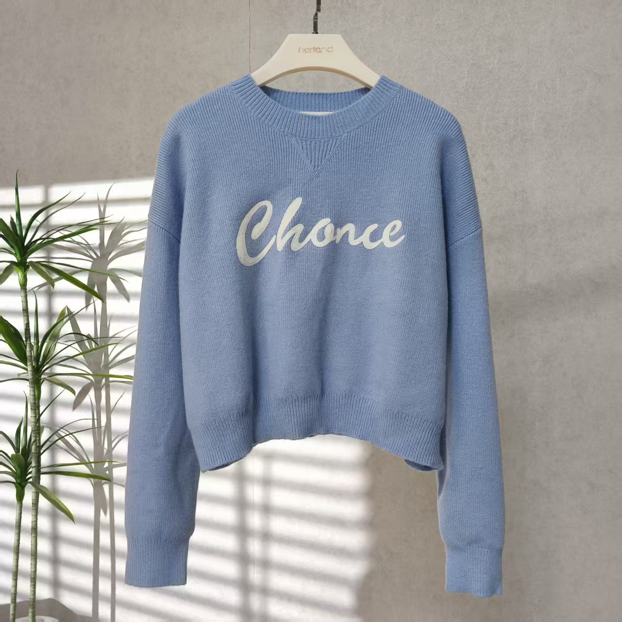 LI丽系列  Z144 女装春秋圆领针织衫浅蓝TK9234041