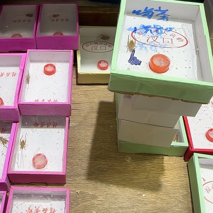 1只大黄蛉，3只油葫芦