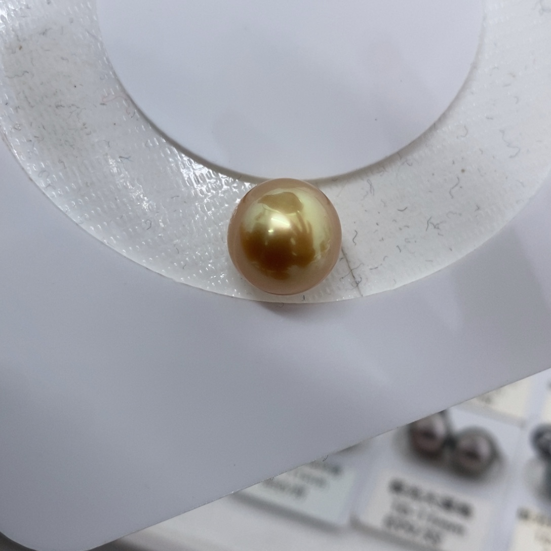 海水珍珠颈饰未镶嵌12-13mm 金珠 小近圆