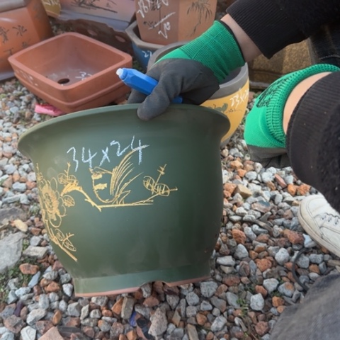 红陶紫砂花盆盆景盆栽