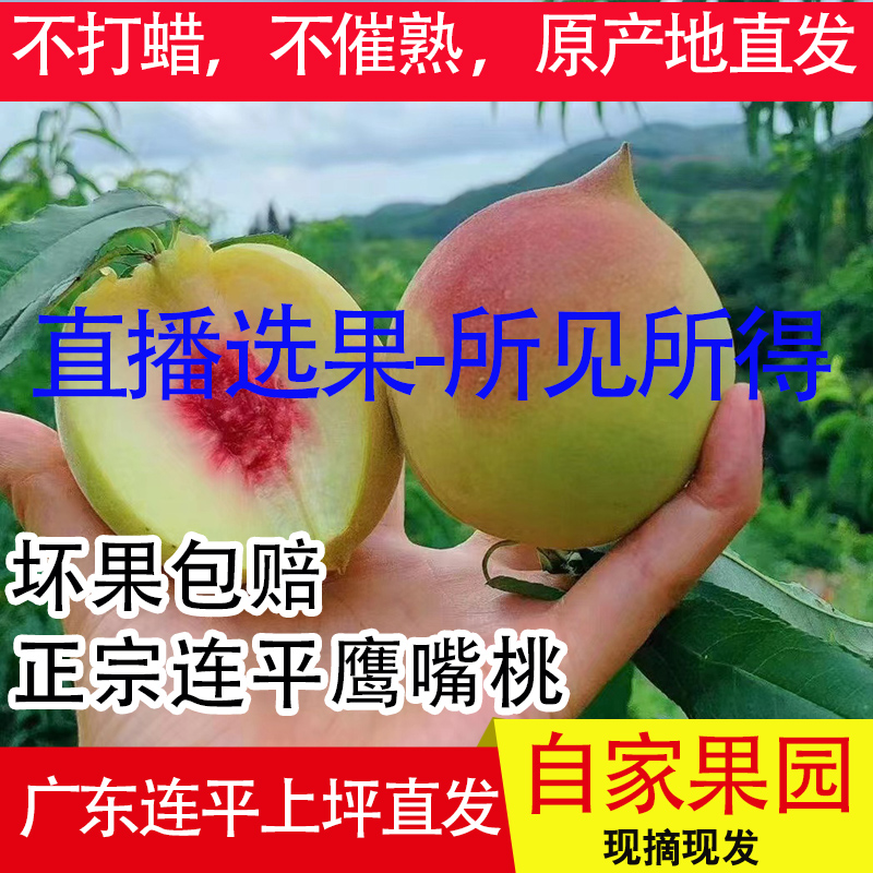 （现摘）正宗河源连平上坪鹰嘴桃清甜脆口应季新鲜水果带箱5斤装
