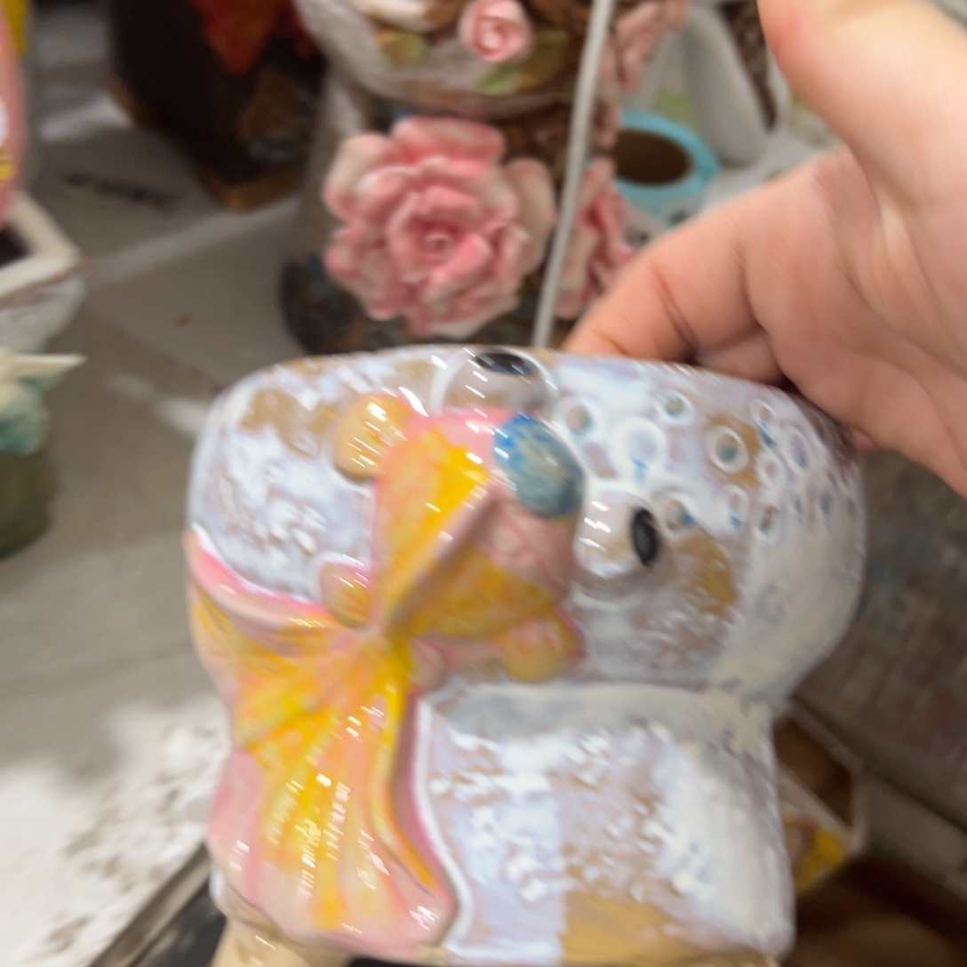 爱退拉黑多肉满20发货