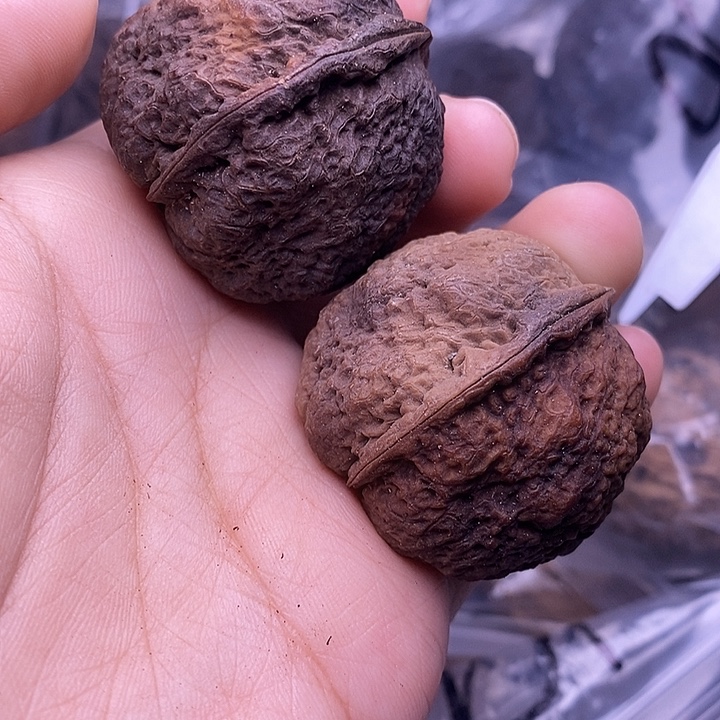 文玩核桃把件   12