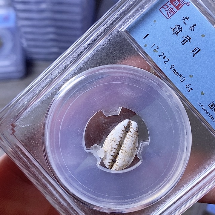 铜A闻博文化A闻博文化