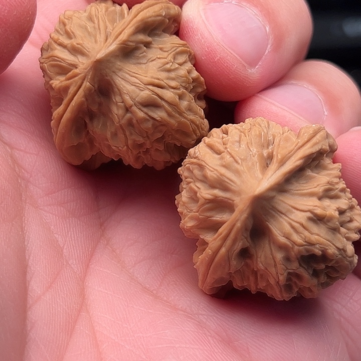 顺***风把件文玩核桃非嫁接马老四32尺