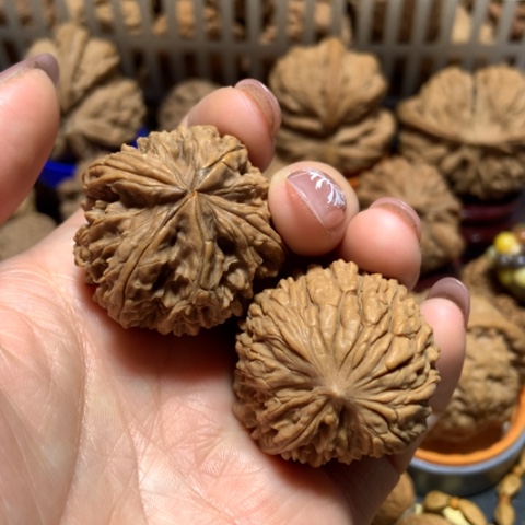 核桃飞****觉异形单只两个