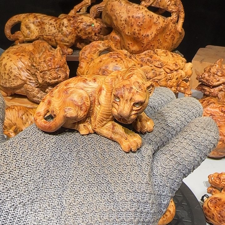 柏木阿*杰太行崖柏豹子