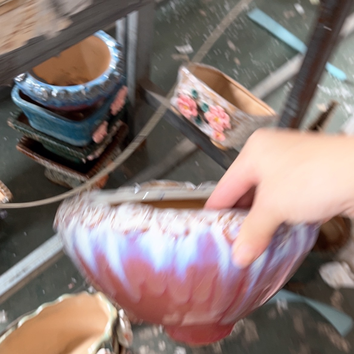 【闪购商品】红陶福利