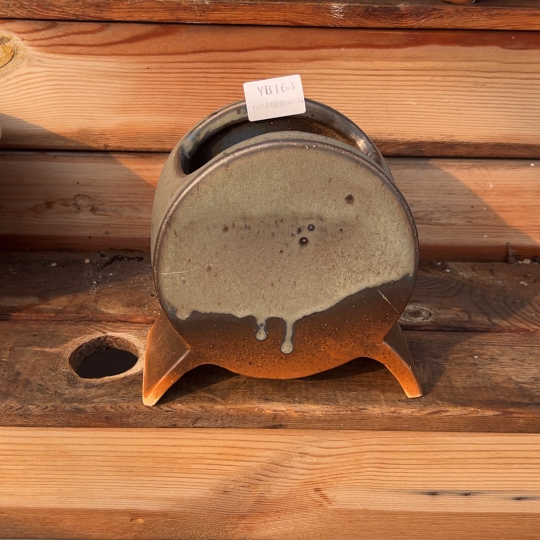 遇***31987多肉植物福利盆164