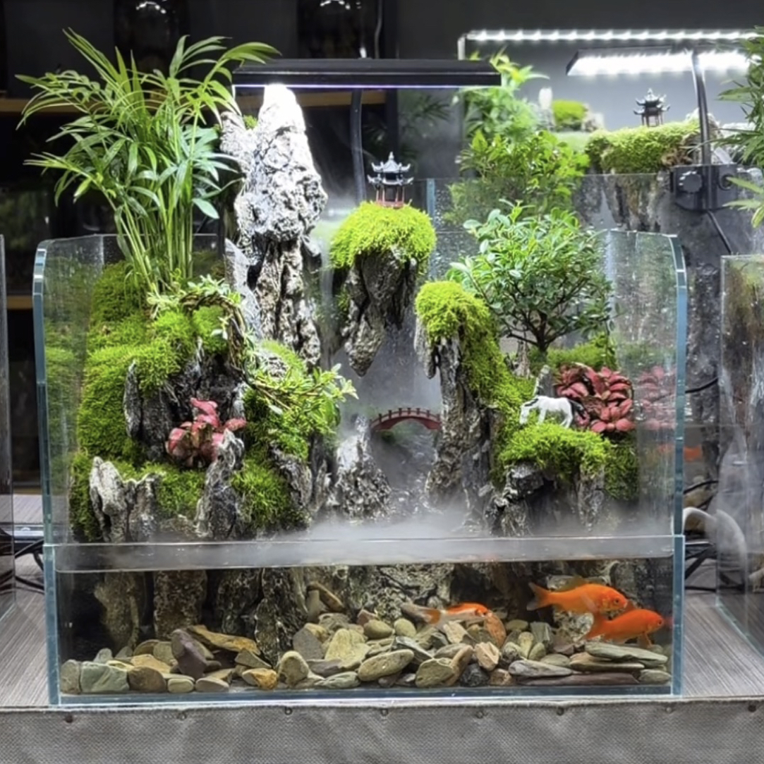 40*30*28生态鱼缸真植物鱼缸养鱼龟缸纯手工打造苔藓懒人室内景观