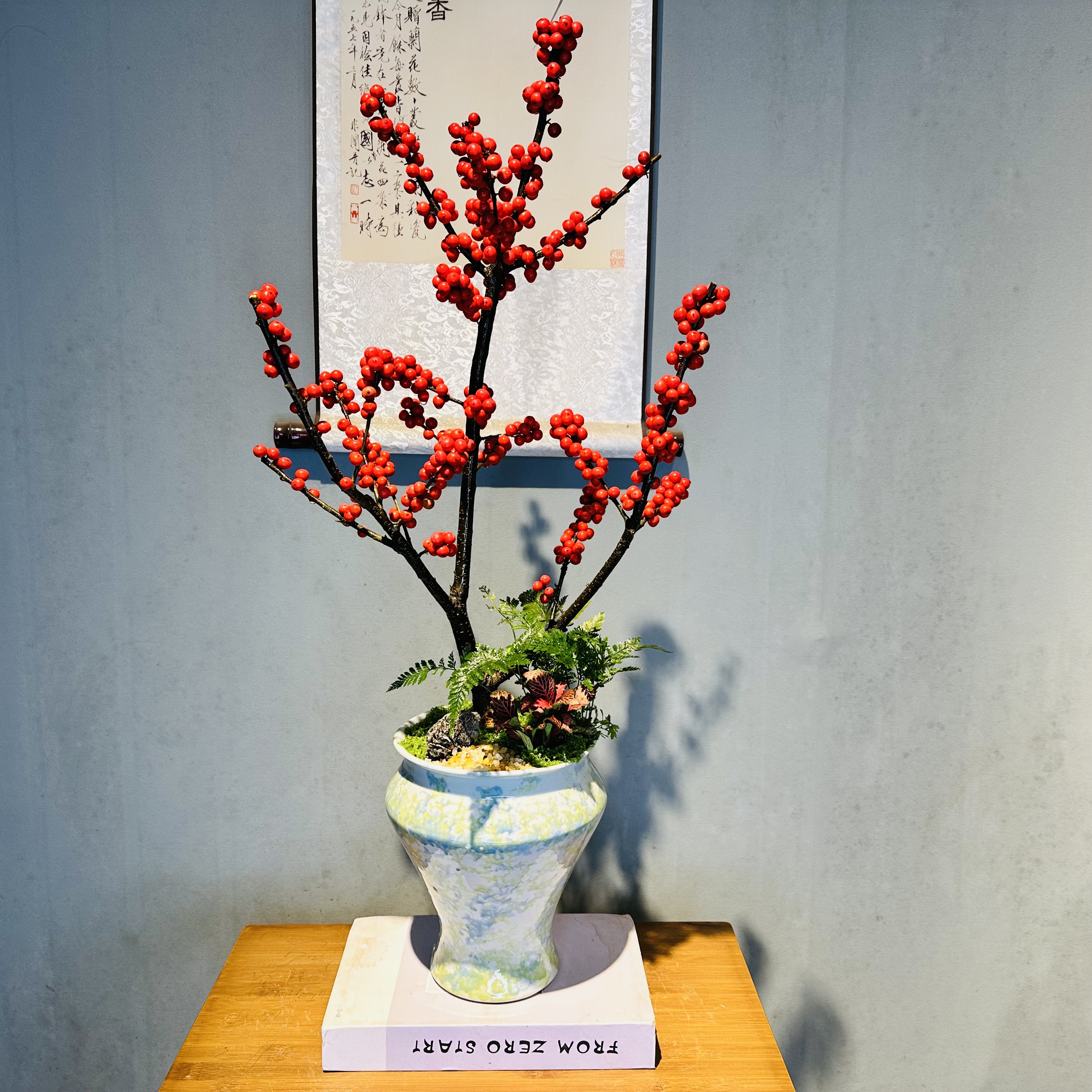 【一物一拍】北美冬青+撞色陶瓷