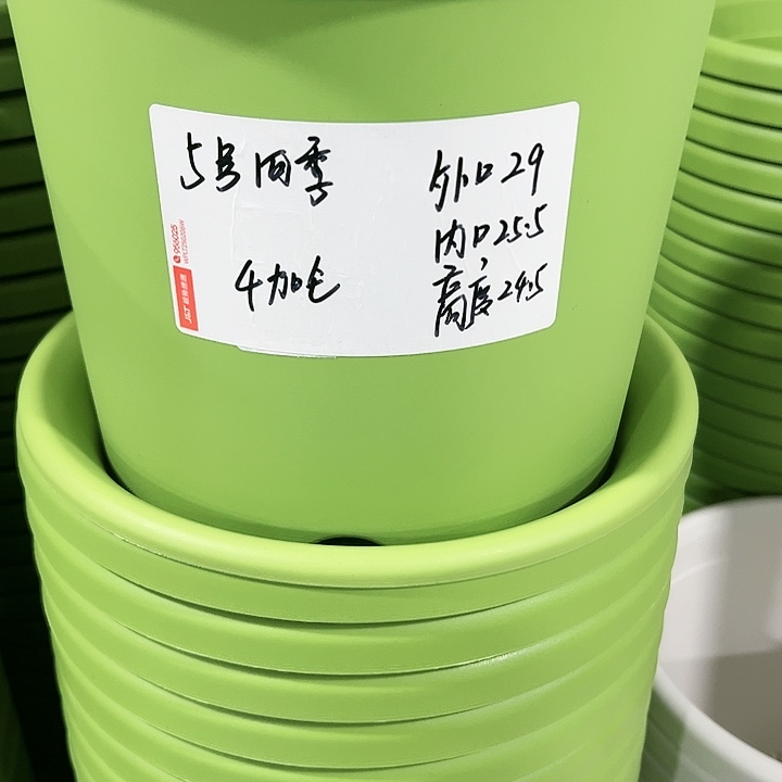 特价5号口29高24.5白色5只无托