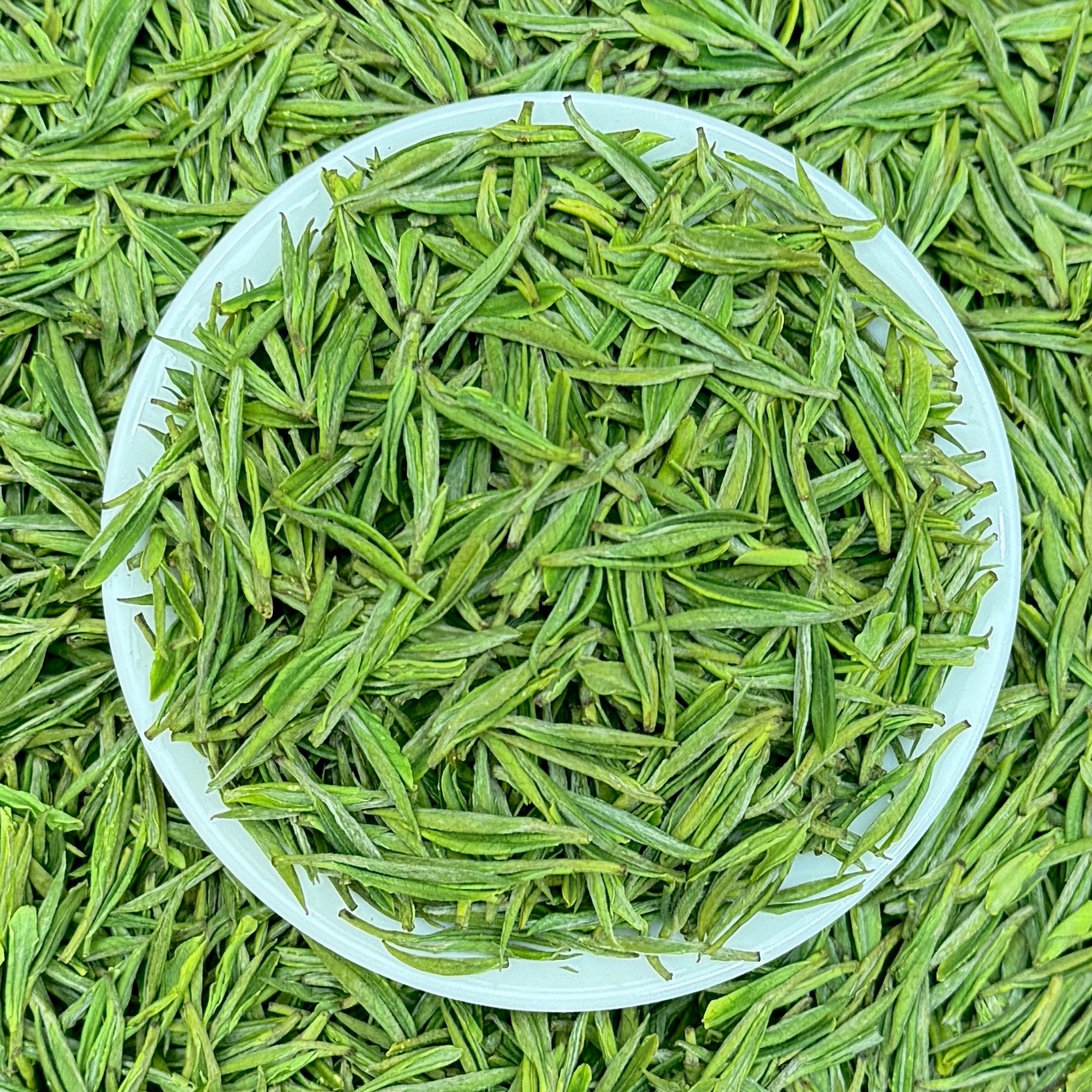 龍福1号【山坞】天花板白茶兰花香25年新茶绿茶叶春茶头采龍福定制