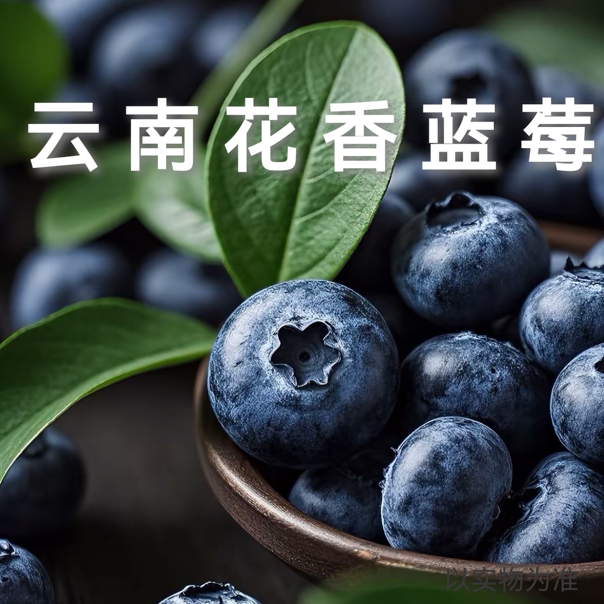 云南花香蓝莓 澄江抚仙湖花香蓝莓基地直发 LDF【EMS空运】