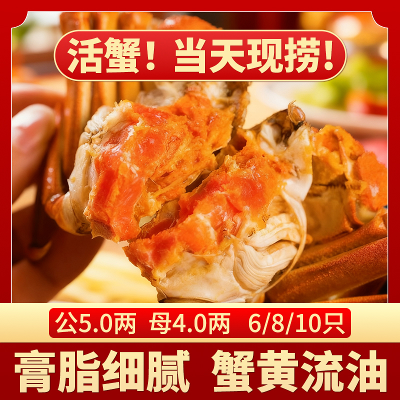 【活蟹】苏州大闸蟹 公5.1-4.8两+母4.1-3.8两 加2只到手10/8/6只