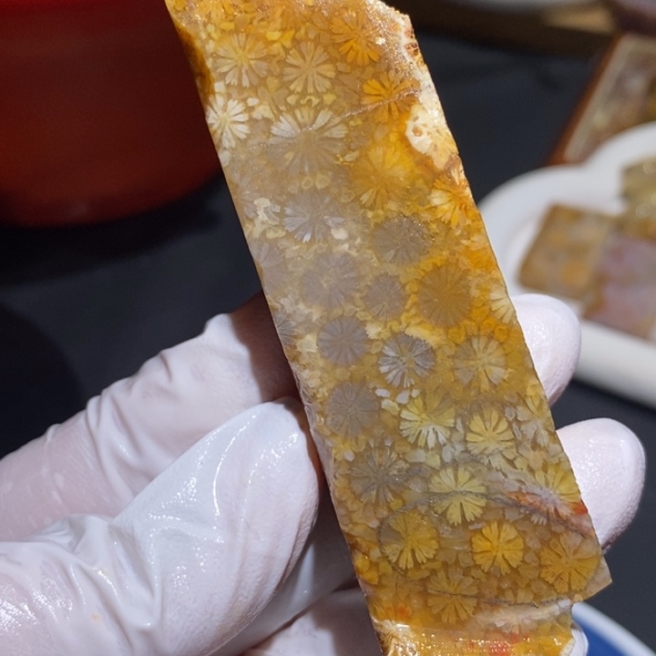 【闪购商品】未镶嵌珊瑚玉硅化玉