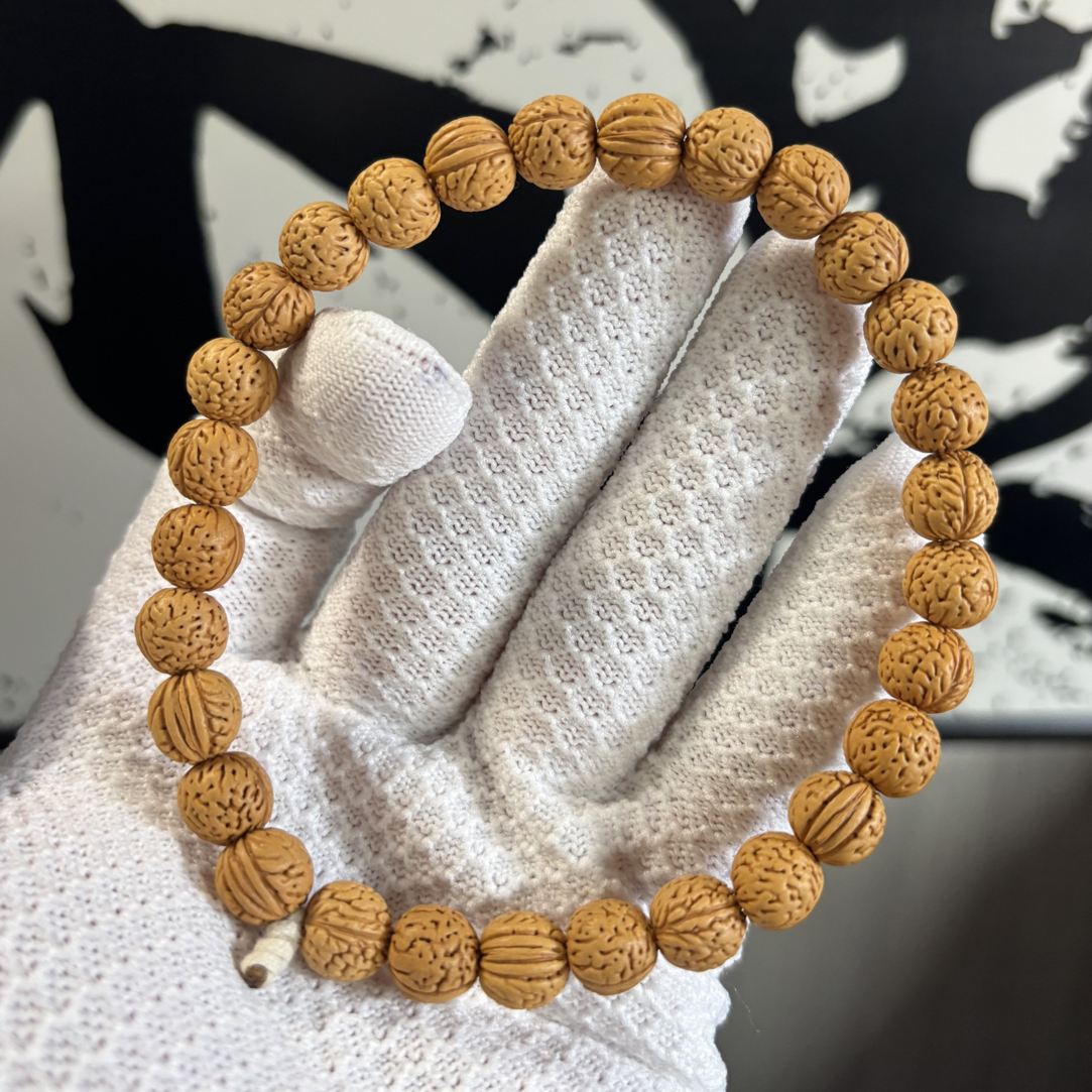 野生小金豆1.0尺寸矮桩 大肚小手持