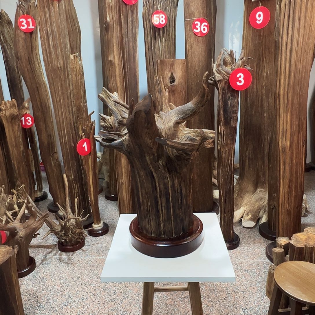 静***一沉香碎屑沉香沉香原料