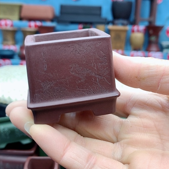 【闪购商品】紫砂花盆紫砂花盆