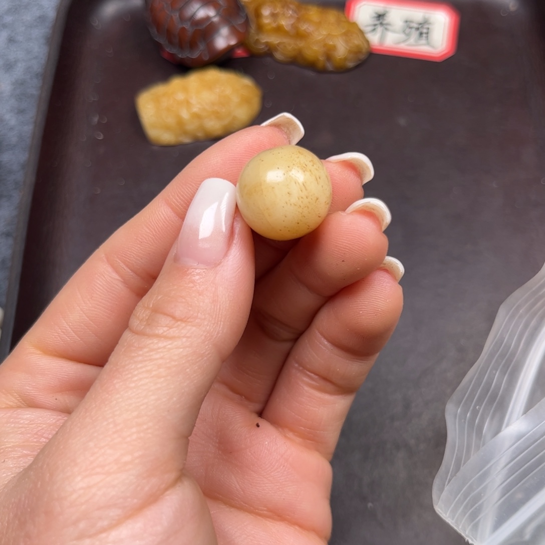 驼骨手串/手链编号26微瑕无售后