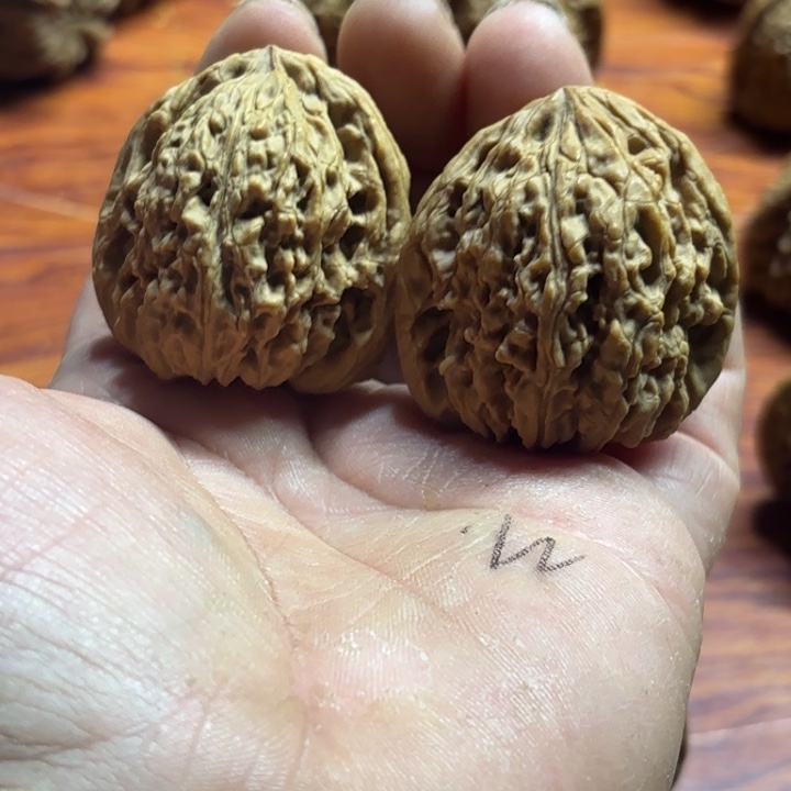 纵***、大叶紫檀（黑酸枝木类）