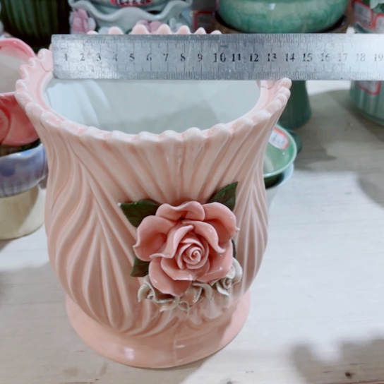 红陶11111111111111111111