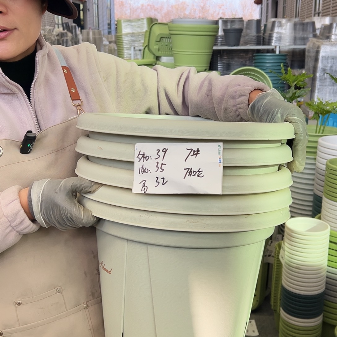 青山盆7#米白色5个无托