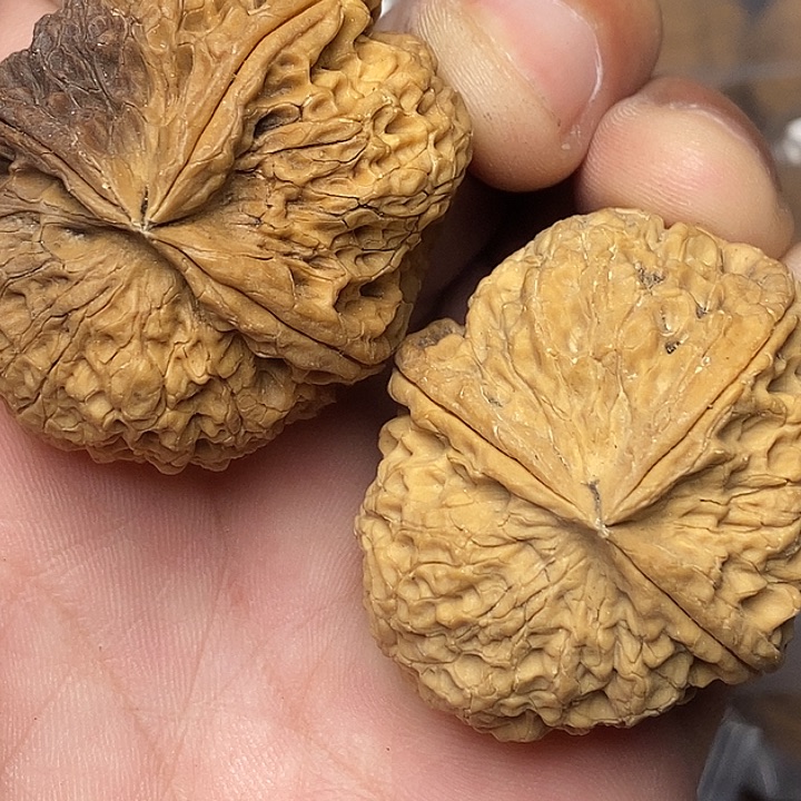 文玩核桃把件云南铁核桃98