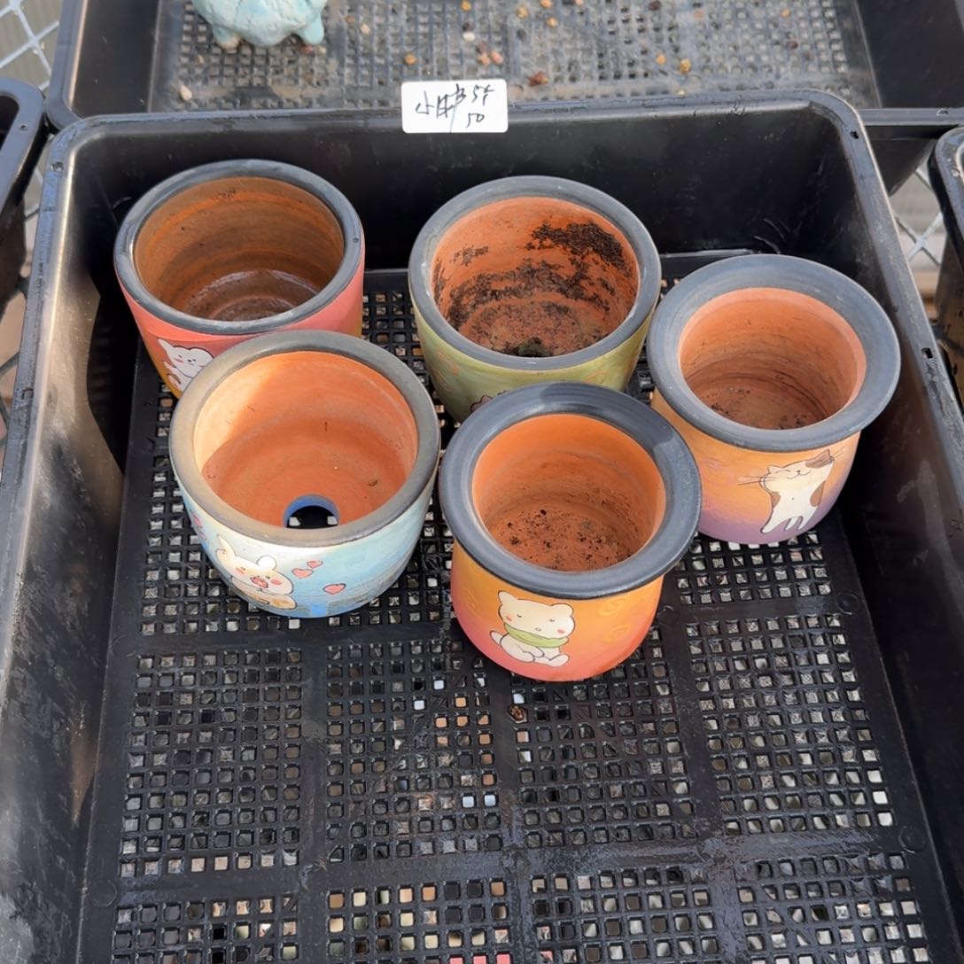 小胖手绘盆5个50元