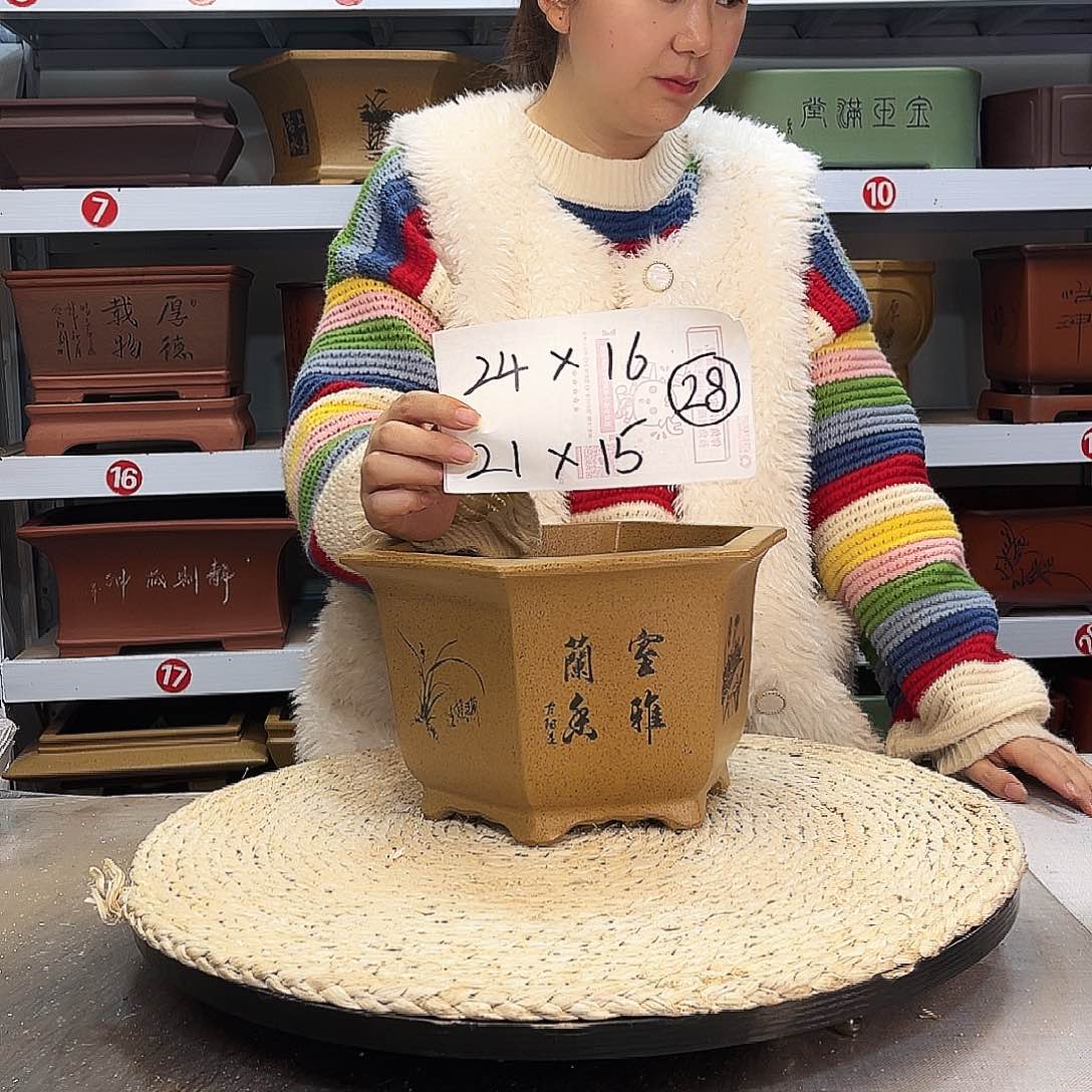 紫砂花盆紫砂花盆