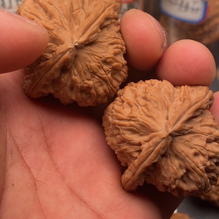 文玩核桃把件白45狮子