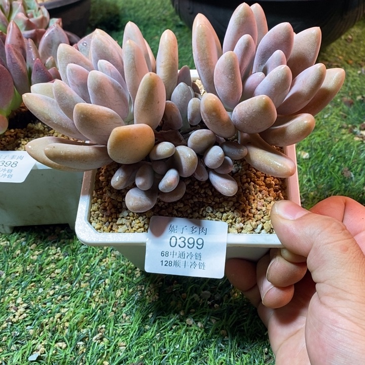 0399啊啊啊啊啊啊啊啊啊啊