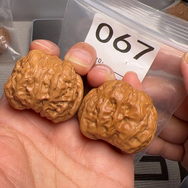 核桃38边38肚067号