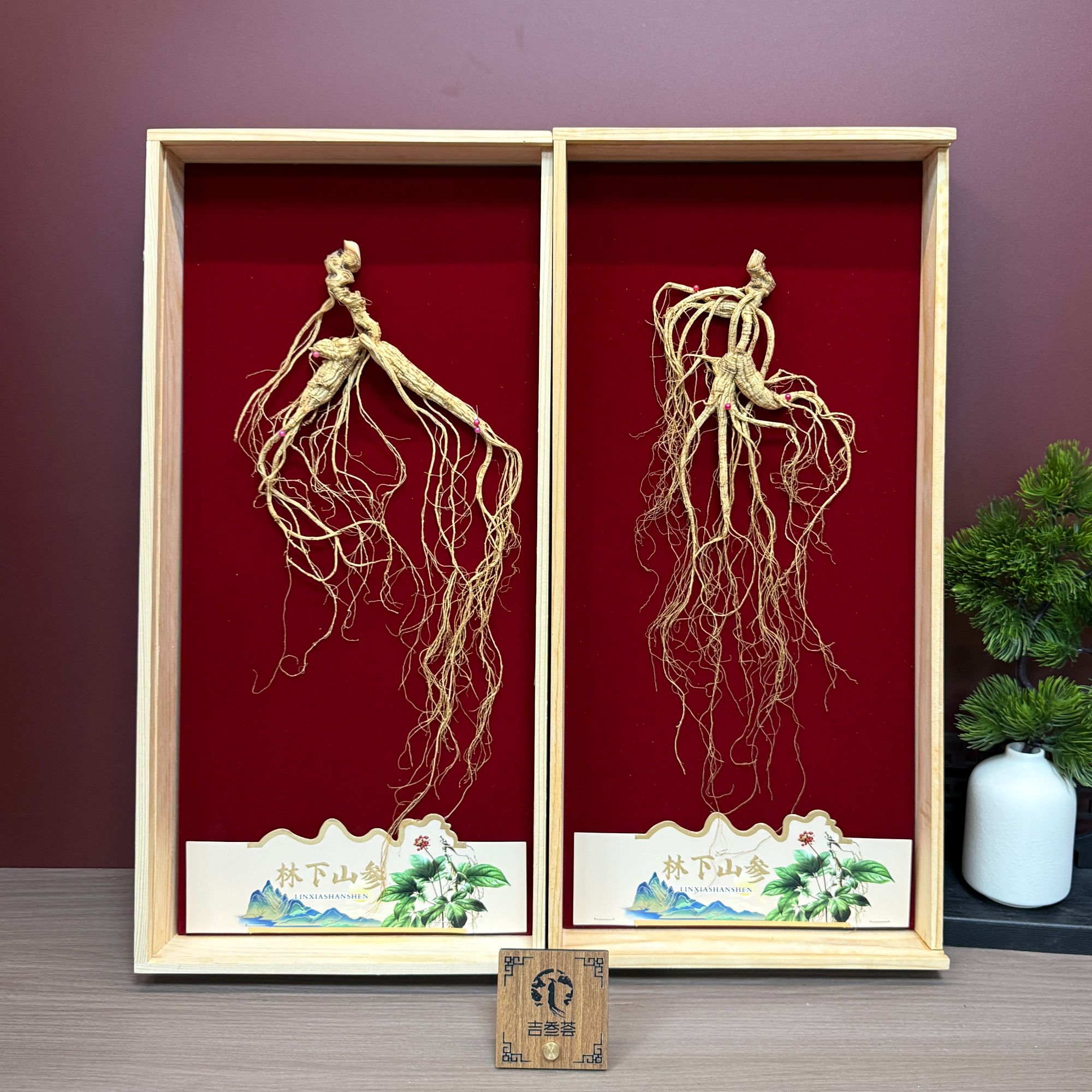 长白山老山参籽货 参龄25年以上 泡酒滋补 道地药材 源头产地