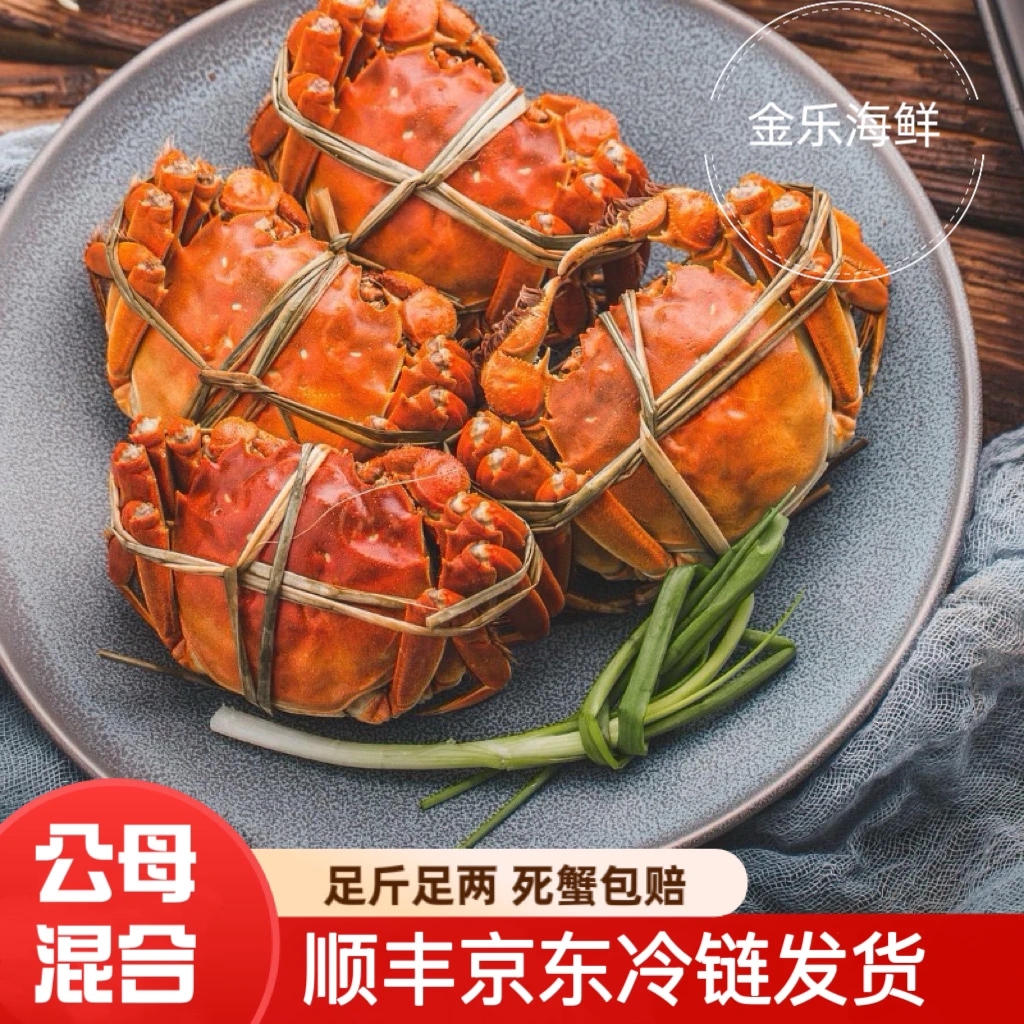 《活蟹》混搭大闸蟹公蟹一只3.0-3.3两母蟹一只2.0-2.3两