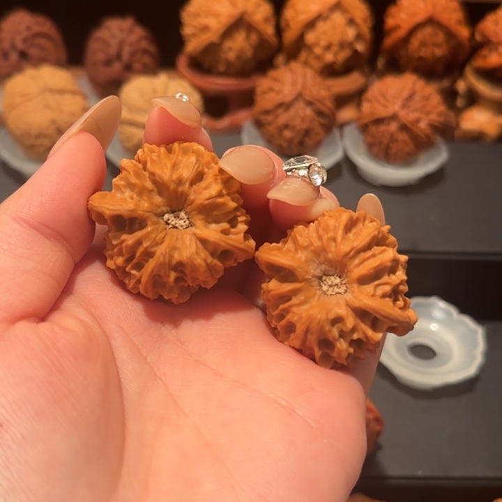 坐**鸣龙门涧36精品毕业款老树