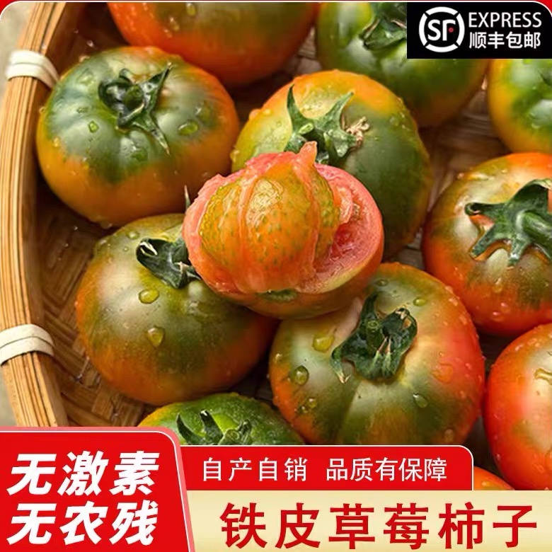 [顺丰包邮]2025年盘锦碱地柿子新鲜水果自然熟 精品果净重4斤装