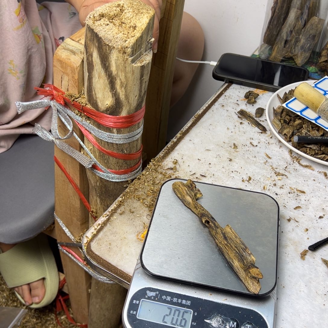 线香奇楠虫漏香20克